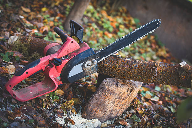 Best Stump Grinding and Removal  in Bawcomville, LA